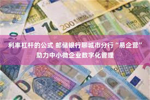 利率杠杆的公式 邮储银行聊城市分行“易企营”助力中小微企业数字化管理