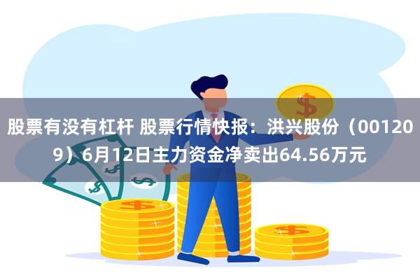 股票有没有杠杆 股票行情快报：洪兴股份（001209）6月12日主力资金净卖出64.56万元