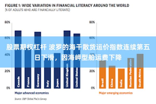 股票期权杠杆 波罗的海干散货运价指数连续第五日下滑，因海岬型船运费下降