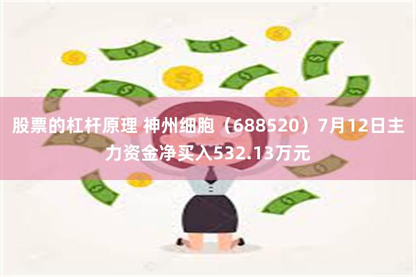 股票的杠杆原理 神州细胞（688520）7月12日主力资金净买入532.13万元