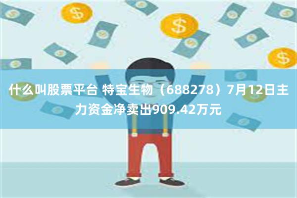 什么叫股票平台 特宝生物（688278）7月12日主力资金净卖出909.42万元