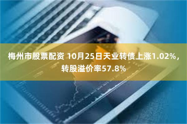 梅州市股票配资 10月25日天业转债上涨1.02%，转股溢价率57.8%