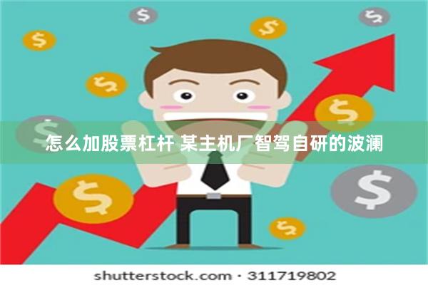 怎么加股票杠杆 某主机厂智驾自研的波澜