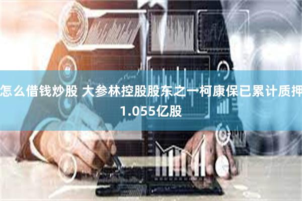 怎么借钱炒股 大参林控股股东之一柯康保已累计质押1.055亿股