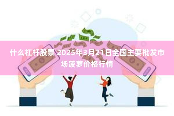 什么杠杆股票 2025年3月21日全国主要批发市场菠萝价格行情